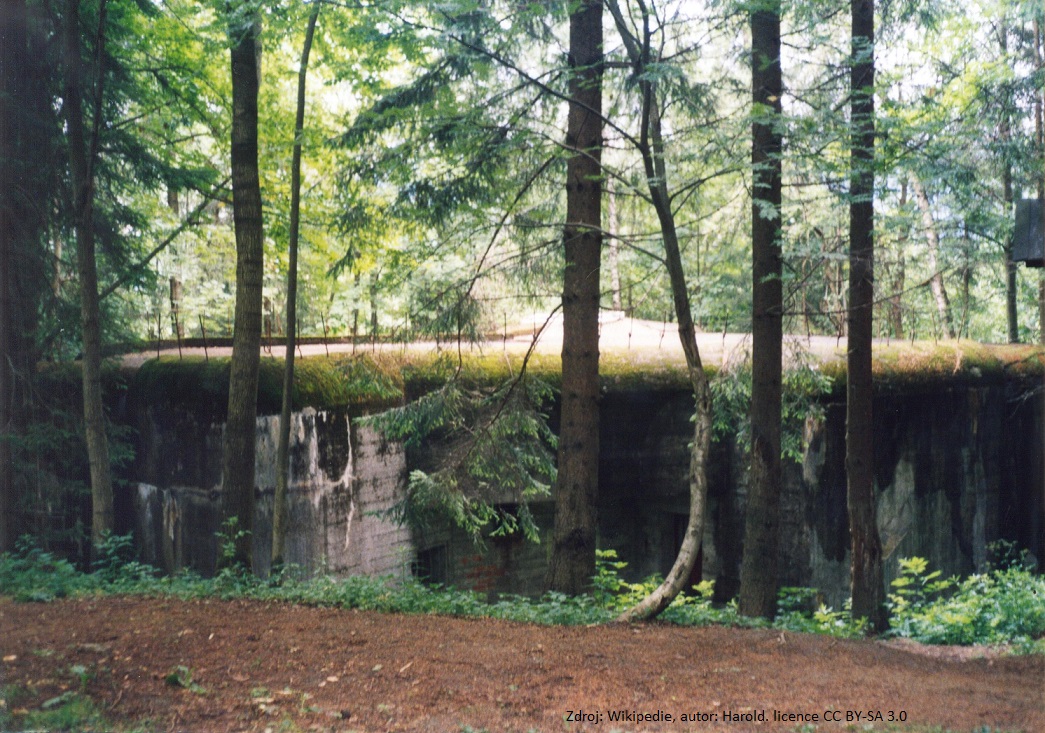 Branná,_StM-S_50_(rok_2003;_01).jpg