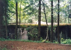 Branná,_StM-S_50_(rok_2003;_01).jpg