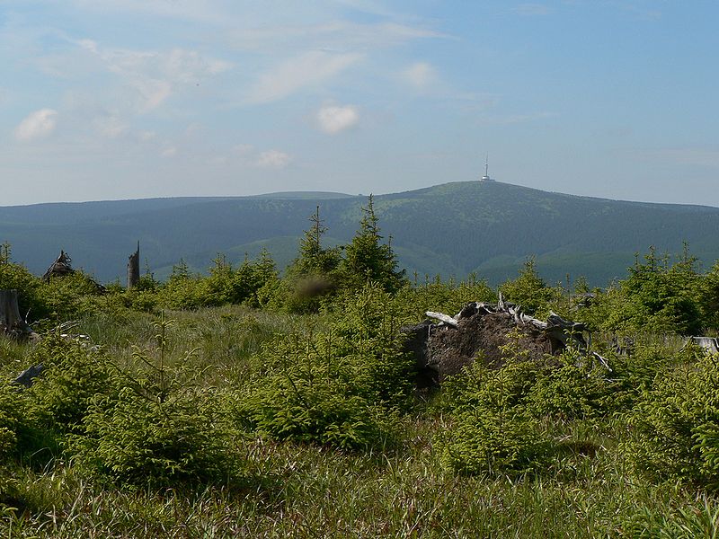 jelení loucky vrchol.jpg