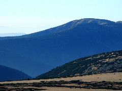 0.37502300 1435480351P1120527.jpg